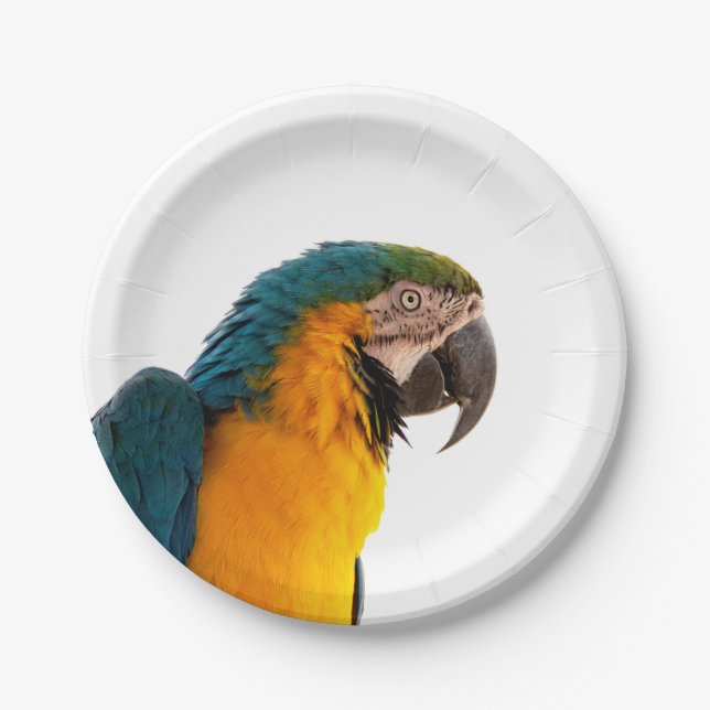 Plato De Papel Paro (Anverso)