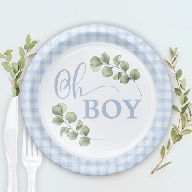 Plato De Papel Pastel Blue Gingham Baby Boy Baby Shower (Subido por el creador)