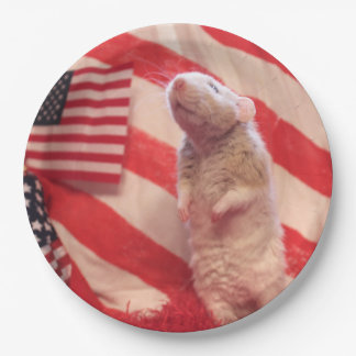 Plato De Papel Patriotic Murray