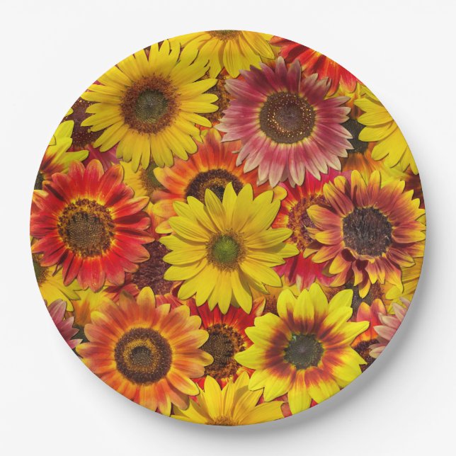 Plato De Papel Patrón continuo de girasoles (Anverso)