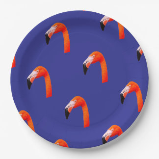 Plato De Papel Patrón de flamenco