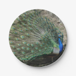 Plato De Papel Pavo Real Hermoso