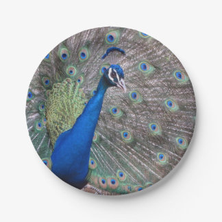 Plato De Papel Pavo real lleno imponente del vintage