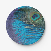 Pavo real púrpura y verde azulado