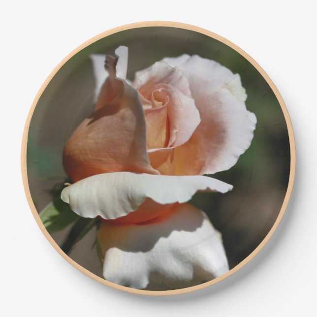 Plato De Papel Peach Rosebud Fiesta (Anverso)