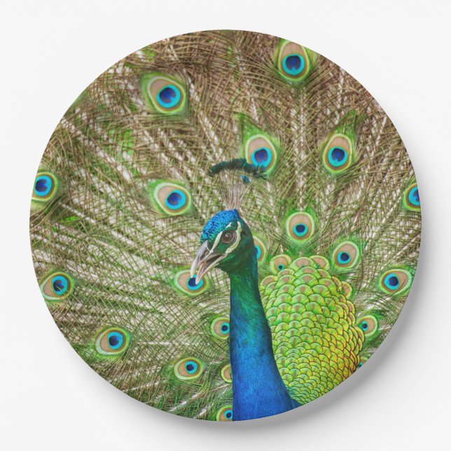 Plato De Papel Peacock (Anverso)
