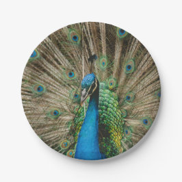 Plato De Papel Peacock