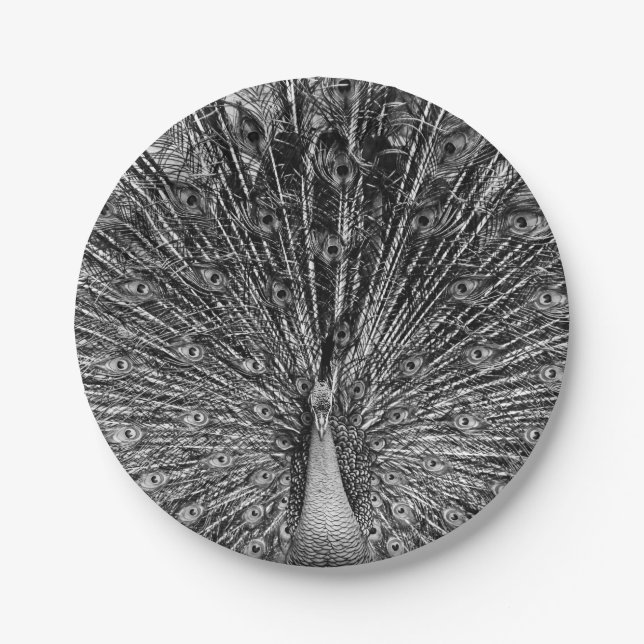 Plato De Papel Peacock negro y blanco (Anverso)