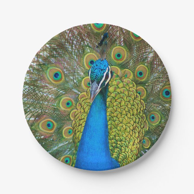 Plato De Papel Peacock S9K.jpg (Anverso)