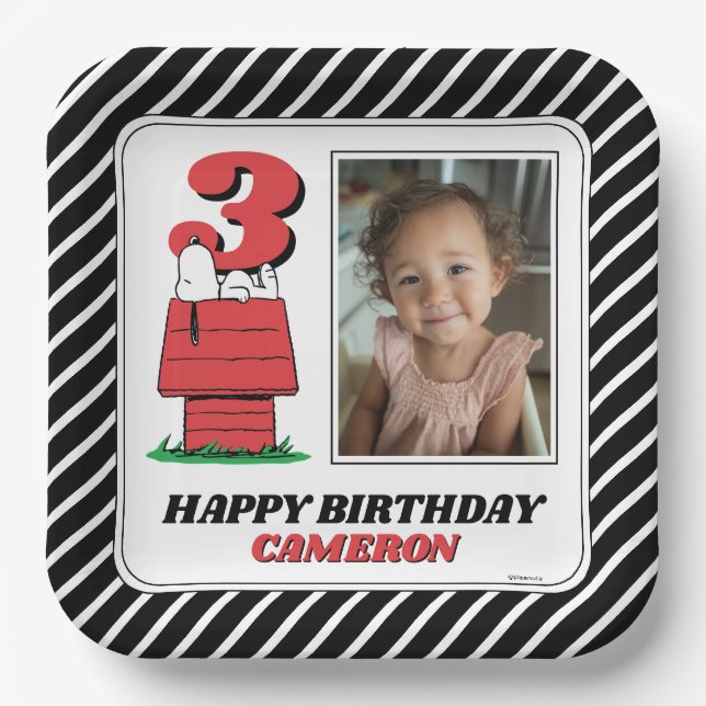 Plato De Papel Peanuts Snoopy Dog House Birthday Paper Plates (Anverso)