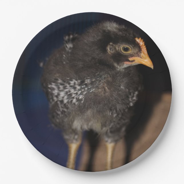 Plato De Papel Peep (Anverso)