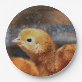 Plato De Papel Peep peep