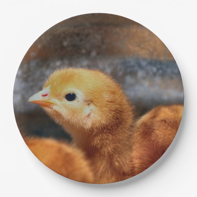 Plato De Papel Peep peep (Anverso)