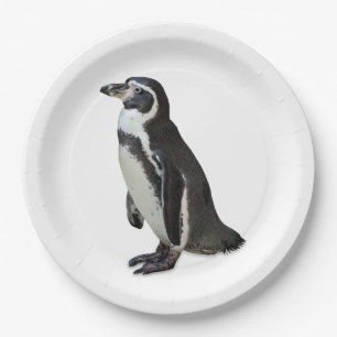 Plato De Papel Penguin