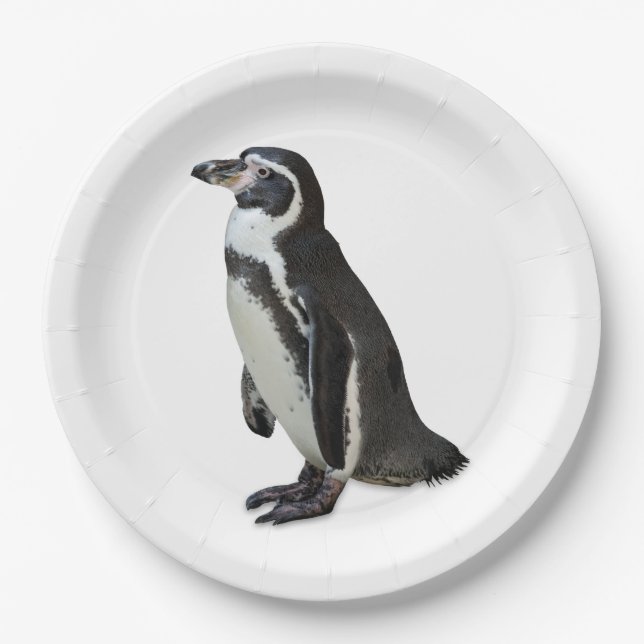 Plato De Papel Penguin (Anverso)