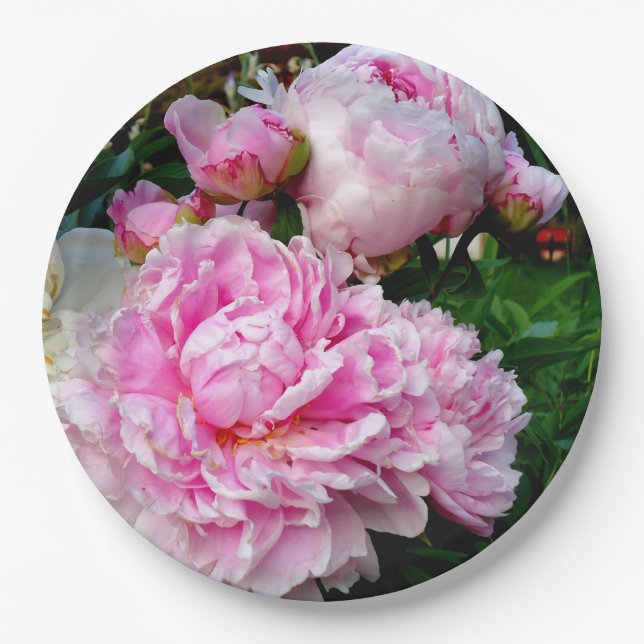 Plato De Papel Peonias rosas y blancas (Anverso)