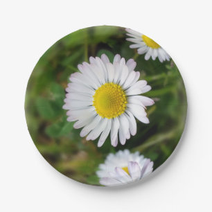 Plato De Papel Pequeñas margaritas