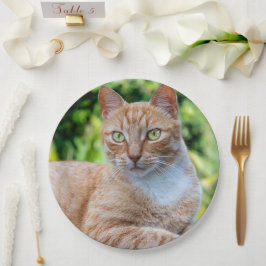 Plato De Papel Pequeño gatito dulce