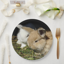 Plato De Papel Pequeños conejitos esponjosos