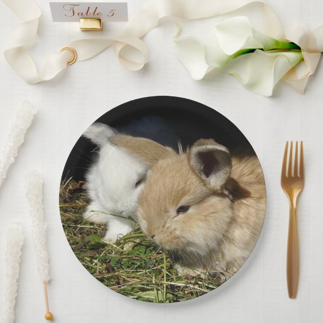 Plato De Papel Pequeños conejitos esponjosos (Boda)