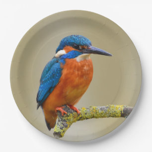 Plato De Papel Perching Kingfisher