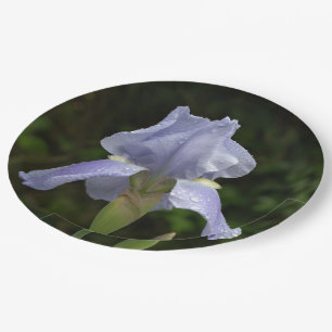 Plato De Papel Periwinkle Iris Petals Gotas de lluvia