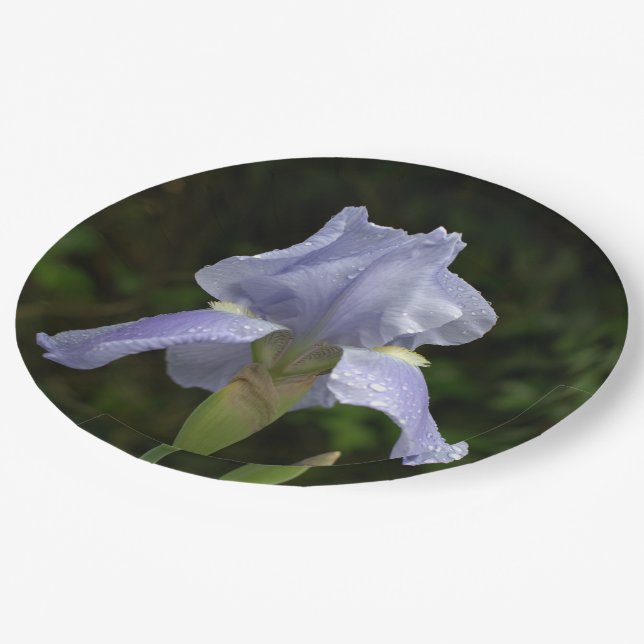 Plato De Papel Periwinkle Iris Petals Gotas de lluvia (Angular)