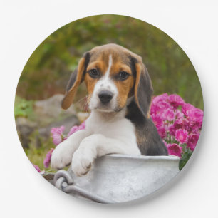 Plato De Papel Perrito lindo del perro del beagle en fiesta feliz