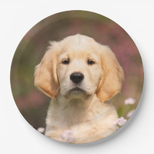 Plato De Papel Perrito lindo del perro del golden retriever,