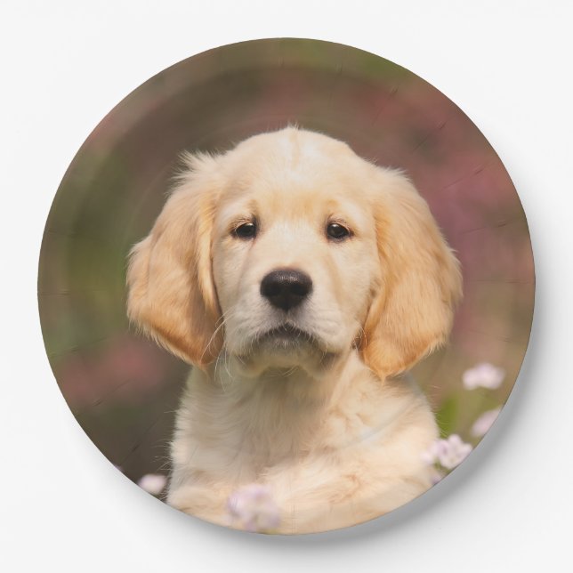 Plato De Papel Perrito lindo del perro del golden retriever, (Anverso)