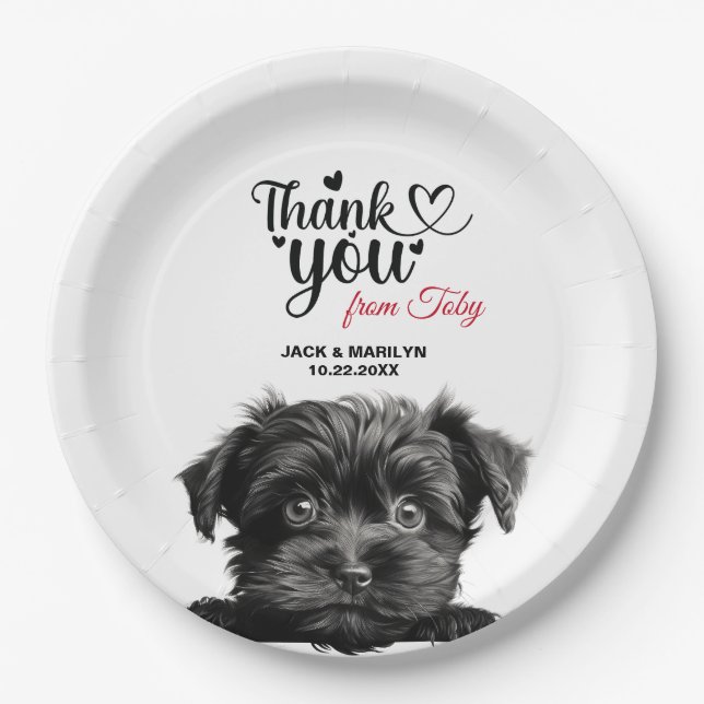 Plato De Papel Perro Affenpinscher (Anverso)