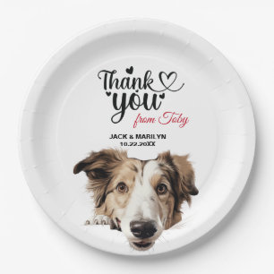 Plato De Papel Perro Borzoi