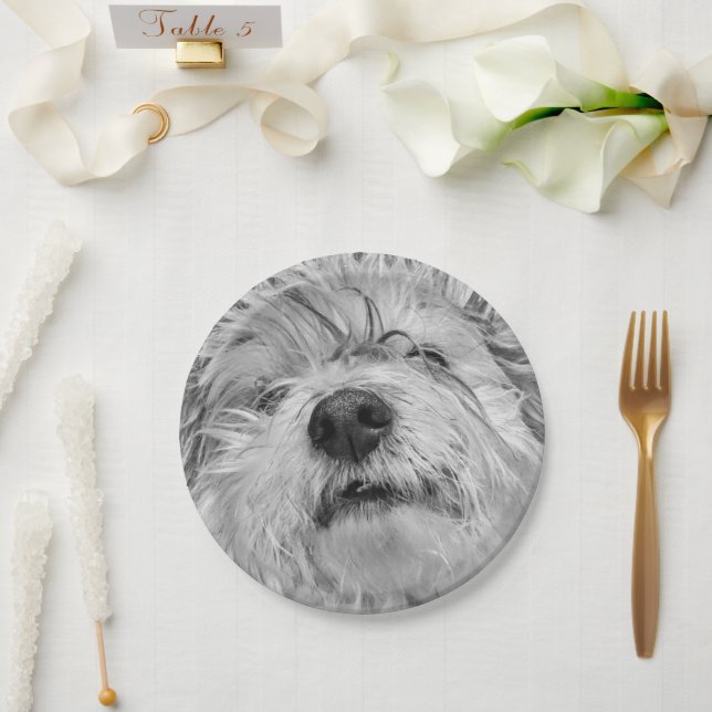 Plato De Papel Perro Coton de Tulear (Boda)