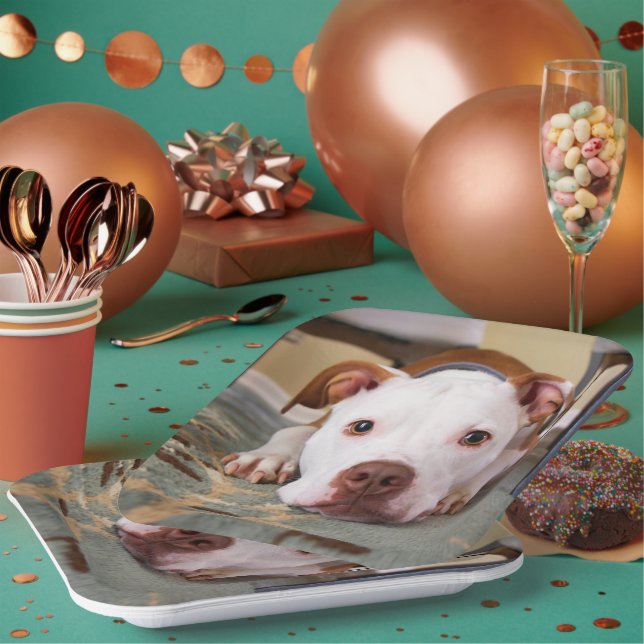 Plato De Papel Perro Cute (Multi)