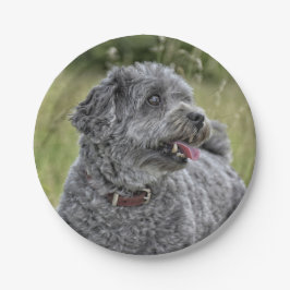 Plato De Papel Perro Cute Terrier