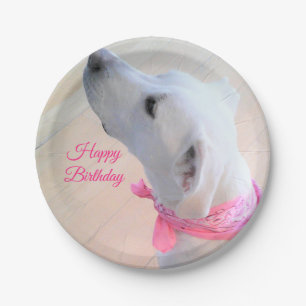 Plato De Papel Perro de Cachorro Blanco Con Carne Rosa