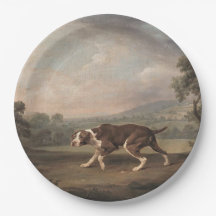 Perro de puntero español (por George Stubbs)