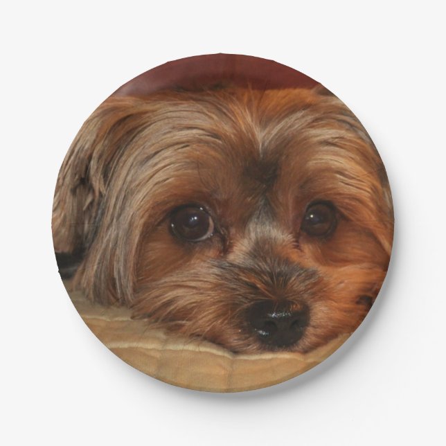 Plato De Papel Perro de Yorkshire, perrito yorkie (Anverso)