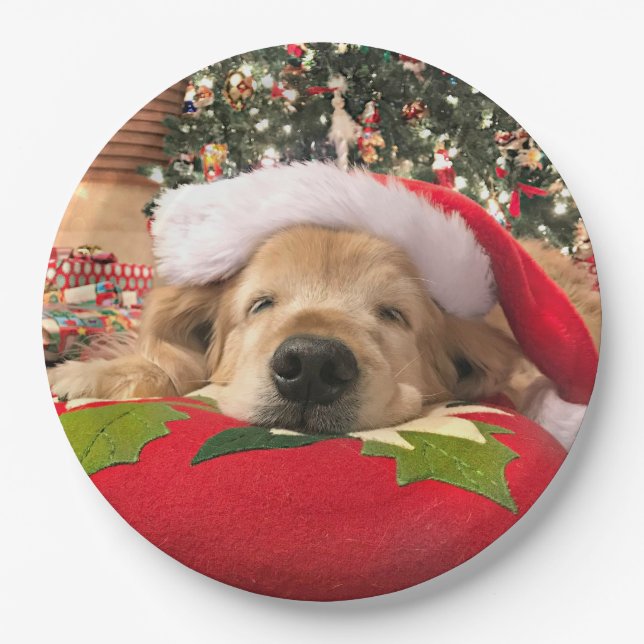 Plato De Papel Perro del golden retriever del navidad dormido (Anverso)