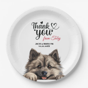 Plato De Papel Perro Keeshond