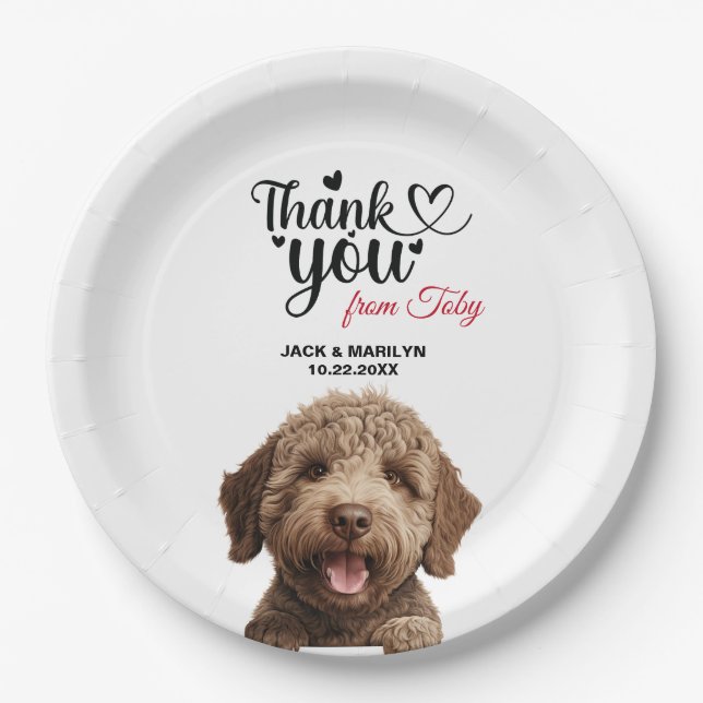 Plato De Papel Perro Lagotto Romagnoto (Anverso)
