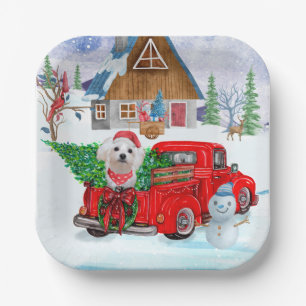 Plato De Papel Perro maltés en la nieve del camión de reparto de