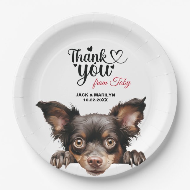 Plato De Papel Perro Mudi (Anverso)