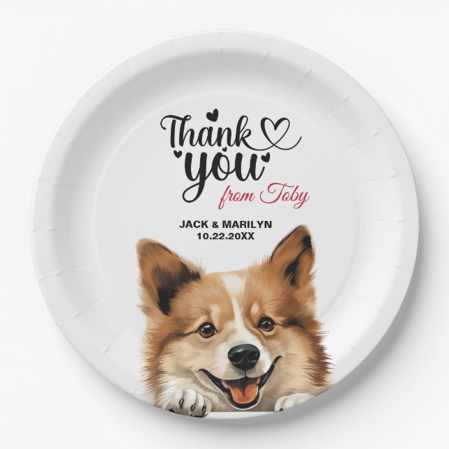 Plato De Papel Perro pastor islandés (Anverso)