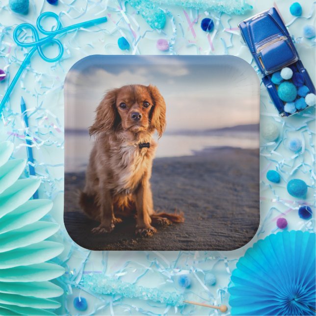 Plato De Papel Perro pequeño lindo (Fiesta)