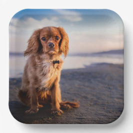 Plato De Papel Perro pequeño lindo