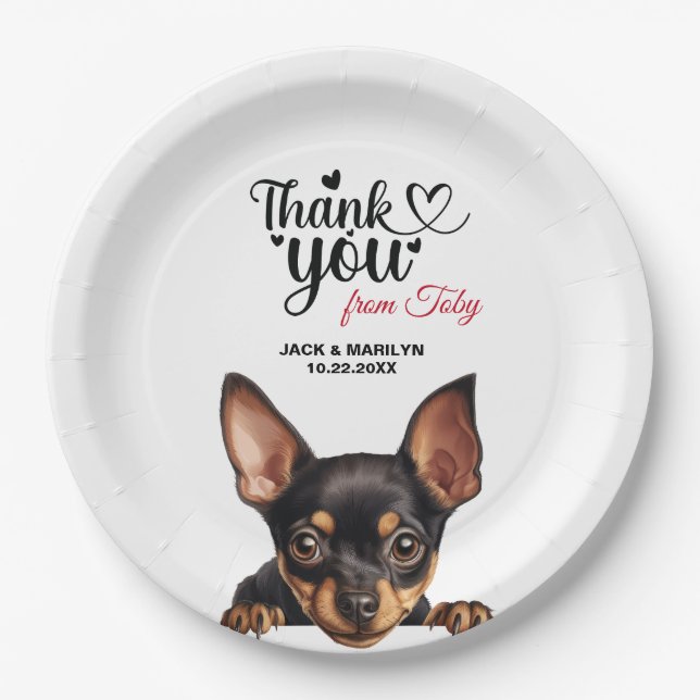 Plato De Papel Perro Pinscher en miniatura (Anverso)
