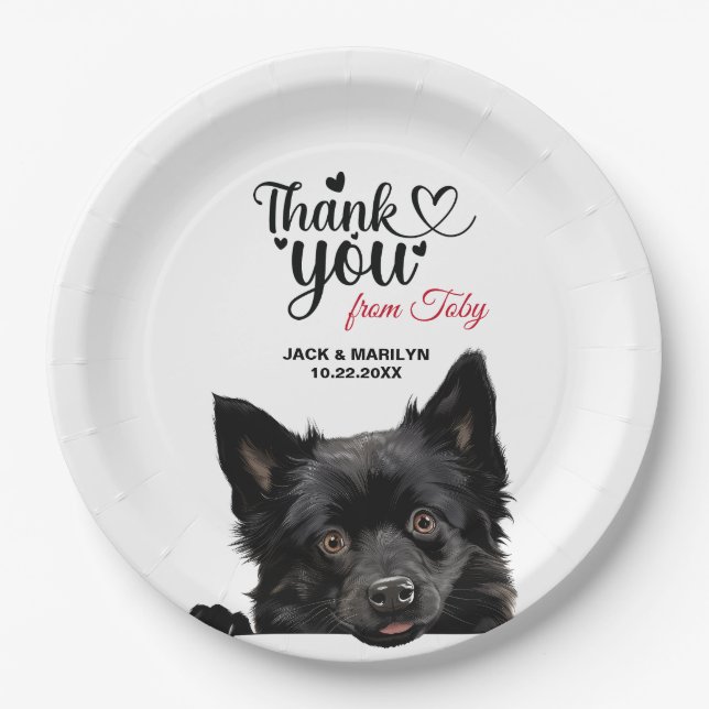 Plato De Papel Perro Schipperke (Anverso)