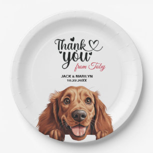 Plato De Papel Perro Setter Irlandés