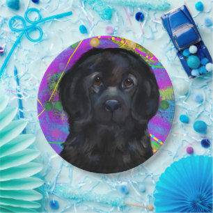 Plato De Papel Perro Terranova